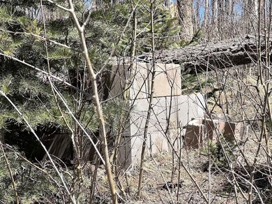 0 Colorado 159 unit 25675165, Fort Garland, CO - photo 5