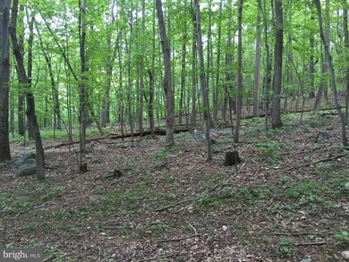 0 Mountain Rd unit 1000714757, Purcellville, VA 20132 - photo 4