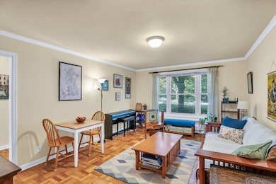 1506 S Race St unit 1, Urbana, IL 61801 - photo 6