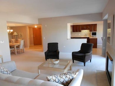 14100 Sheffield Dr unit 101, Homer Glen, IL 60491 - photo 7