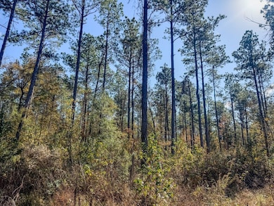 0 Sanderlin Rd unit 25637126, Wilmar, AR 71675 - photo 4