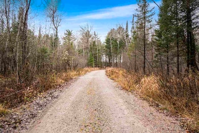 821 Hidden Acres, East Jordan, MI 49727 - photo 2