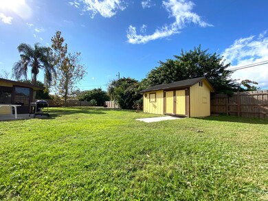 Back yard 3