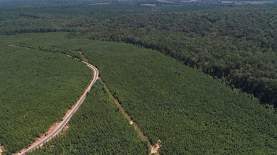 13.9 + - Ac Awebreys Gin Rd, Franklin, GA 30217 - photo 4