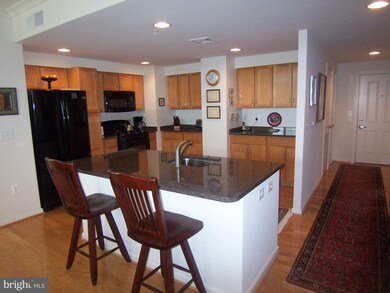 4490 Market Commons Dr unit 704, Fairfax, VA 22033 - photo 4