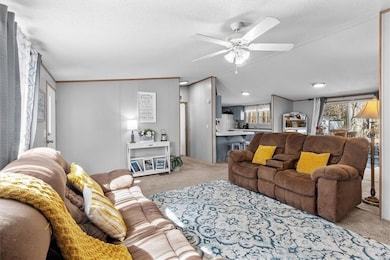 Carpeted living room with a healthy amount of sunl