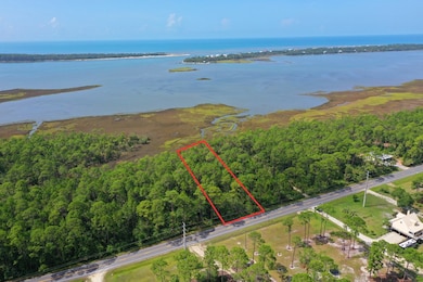 Lot 19 Cr 30-A, Port St. Joe, FL 32456 - photo 3