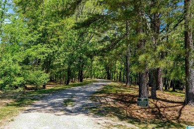 6638 Spring St, Trussville, AL 35173 - photo 7