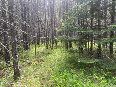 NNA Red Fir Rd, Athol, ID 83801 - photo 6