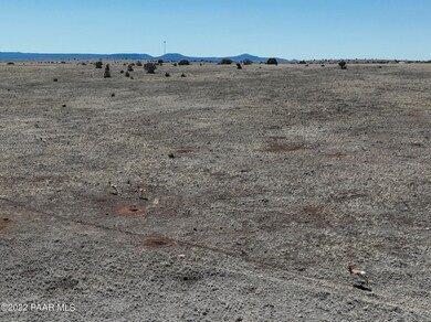 Lot 99 Juniperwood Ranch Rd, Ash Fork, AZ 86320 - photo 2