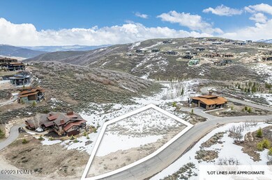 9869 Hidden Hill Loop lot lines
