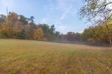 0 Big Draft Rd unit 25758620, White Sulphur Springs, WV 24986 - photo 7