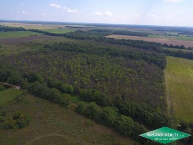 0 Louisiana 183 unit 11567761, Holly Ridge, LA 71269 - photo 4