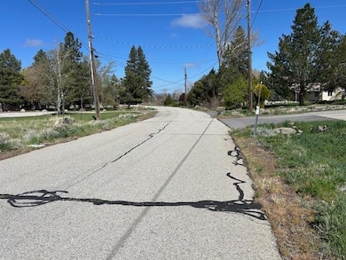 527 Longhorn Dr, Loyalton, CA 96118 - photo 2