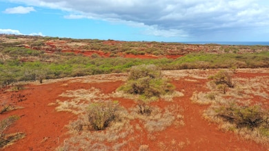 0 Hao Keehi Place unit 402032, Maunaloa, HI 96770 - photo 7