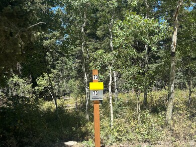 11273 E Aspen Rd S unit 73, Heber City, UT 84032 - photo 2