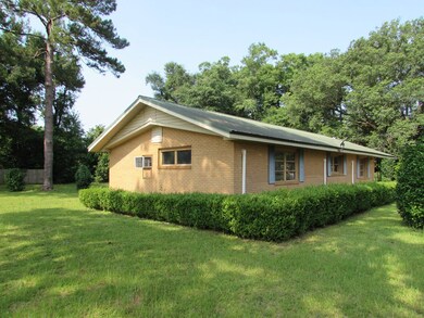 114 E Bainbridge St, Bainbridge, GA 39819 - photo 5