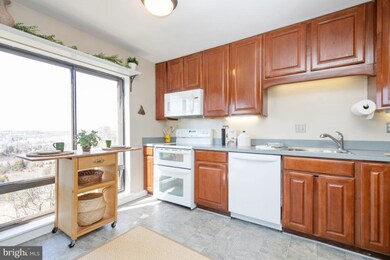 100 Roberts Ln unit 401, Alexandria, VA 22314 - photo 5