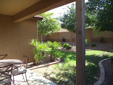 Lot 388 Back yard