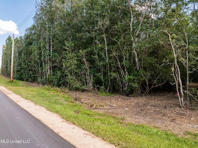 0 Old Hwy 49 unit 4128354, Saucier, MS 39574 - photo 7