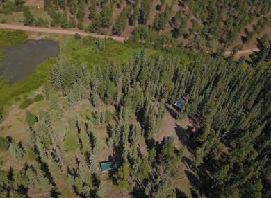 10223 Trail Creek Rd, Florissant, CO 80816 - photo 2