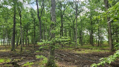 0 Fredonia Rd unit RTC2658009, Manchester, TN 37355 - photo 2