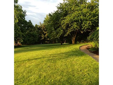 Yard/Garden.