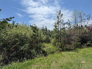 6 Spencer Rd, Concord, VA 24538 - photo 4