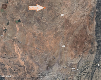 203 County Rd N5380 --, Concho, AZ 85924 - photo 2