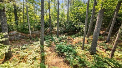 05-16 Fox Ave_Parsonsfield_ME-6