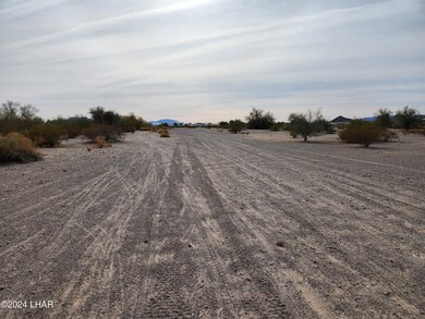 455 W Quail Trail St, Quartzsite, AZ 85346 - photo 5