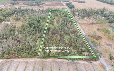 3064 145th Rd, Live Oak, FL 32060 - photo 6