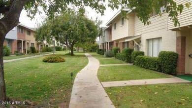 Front Yard