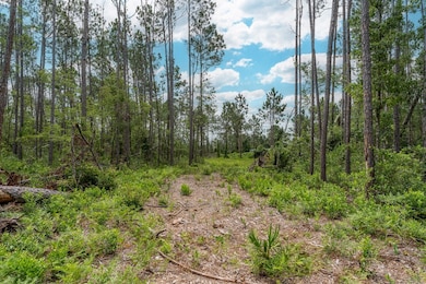 00 Willacoochee Hwy, Willacoochee, GA 31750 - photo 3