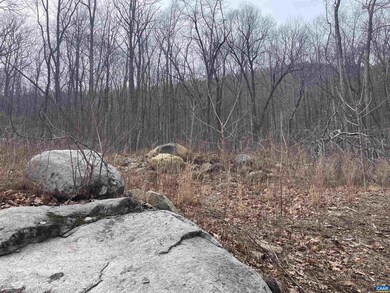 TBD Cub Creek Rd unit 1B, Massies Mill, VA 22967 - photo 5