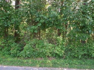0 Jeremiah Rd, Cookeville, TN 38506 - photo 3