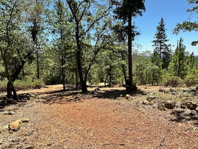 1870-Lot 406 E Summit View Dr, Meadow Vista, CA 95722 - photo 3