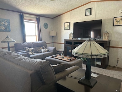 10237 Mohawk Blvd, Wellton, AZ 85356 - photo 4