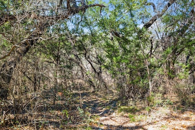 TBD Pedernales Canyon Trail, Spicewood, TX 78669 - photo 7