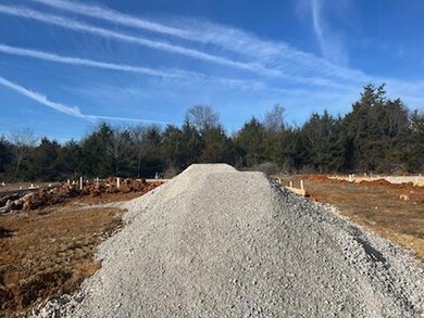 872 Blue Jay Way, Morristown, TN 37813 - photo 3