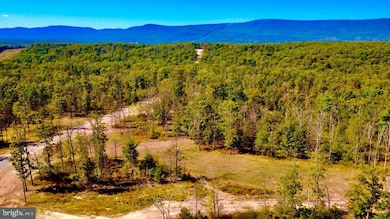 152.44 Acres Lot 2 Laurel Grove Rd, Winchester, VA 22602 - photo 4