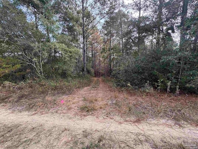 0 Ryan Rd, Crestview, FL 32539 - photo 3