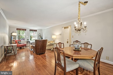 3047 S Columbus St, Arlington, VA 22206 - photo 4