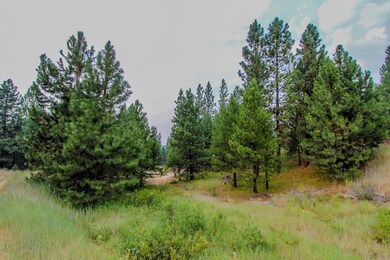 6 Silver Stone Ct unit 9, Cascade, ID 83611 - photo 4