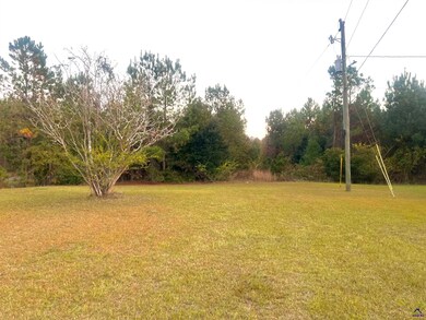 1805 Bell Line Rd, Eastman, GA 31023 - photo 5