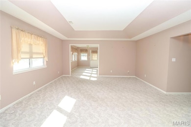 Spare room featuring a raised ceiling and light colored carpet