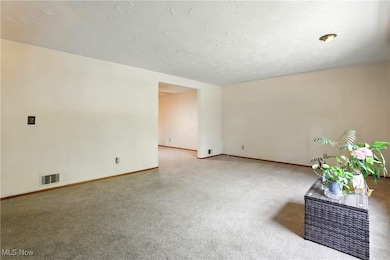 110 Shipherd Cir, Oberlin, OH 44074 - photo 5