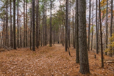 23 Acres County Road 3217, Haleyville, AL 35565 - photo 5