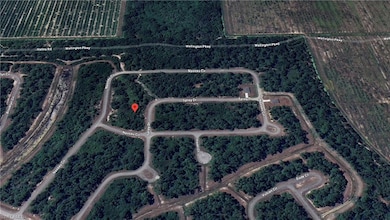 523 Spray Dr, Fort Denaud, FL 33935 - photo 4