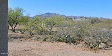 thumbnail_ROB_0041(1)